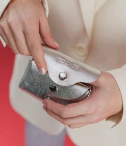 PORTE-MONNAIE JALOGNA ARGENT