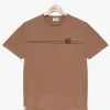 TEE-SHIRT HOJE MARRON